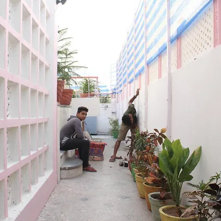 Backpackers Villa-2